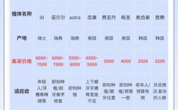 牙博士种一颗牙要花多少钱？