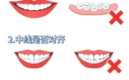 正畸咬合关系分类图片如何区分不同类型？