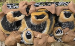 种植牙带牙冠疼不疼？整个过程会有疼痛感吗？