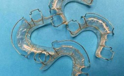 矫正牙齿后保持器