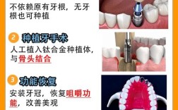 没有牙根能种牙吗？种植体如何实现稳固？