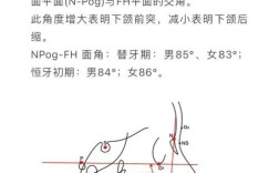 正畸中z角变小，其临床意义究竟是什么？