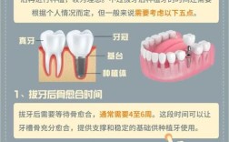 种牙需要多久好