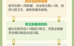 正畸拔掉的牙，到底需要多久才能重新长好？