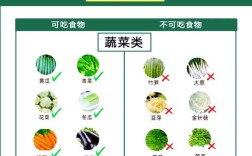 矫正牙齿期间能吃什么食物？饮食禁忌与推荐指南