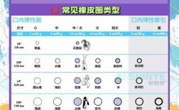正畸橡皮圈的使用原则具体包含哪些关键内容？