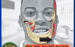 颞颌关节紊乱做正畸