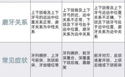 正畸中骨性分类对治疗设计有何关键影响？
