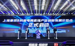 抖音直播人气自助24小时超低价平台如何找？