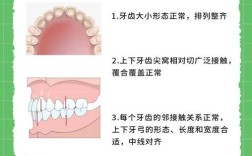 为什么种牙前必须抬高咬合？