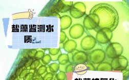 什么方法让藻酸盐不变形