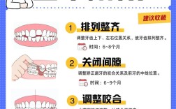 牙齿矫正要经历哪几个阶段？各阶段有什么特点？