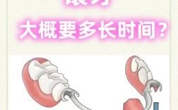 种牙几天后安装牙冠