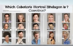 2025最新哪些明星正悄悄矫正牙齿？