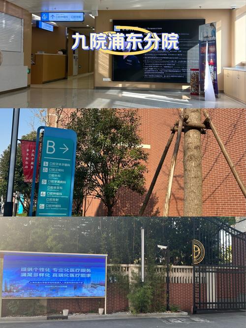 上海九院 种植牙系统-图1 上海九院 种植牙系统-图1