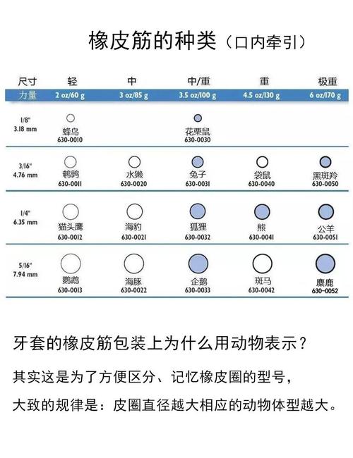3m牙科正畸橡皮圈型号有哪些?如何根据矫正需求正确选择?-图3 3m牙科正畸橡皮圈型号有哪些?如何根据矫正需求正确选择?-图3