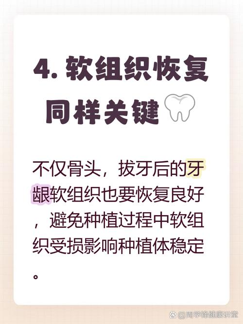 拔了牙多长时间可以种牙-图1 拔了牙多长时间可以种牙-图1
