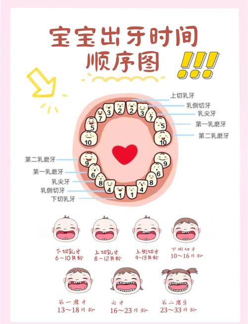 儿童口腔科记录牙齿的方法有哪些具体步骤和技巧?-图1 儿童口腔科记录牙齿的方法有哪些具体步骤和技巧?-图1
