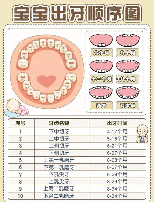 儿童口腔科记录牙齿的方法有哪些具体步骤和技巧?-图2 儿童口腔科记录牙齿的方法有哪些具体步骤和技巧?-图2