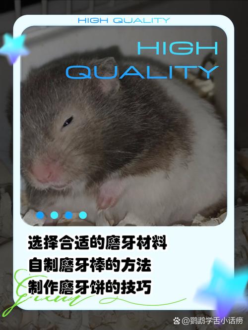 治疗老鼠牙哪种方法效果最好?-图1 治疗老鼠牙哪种方法效果最好?-图1