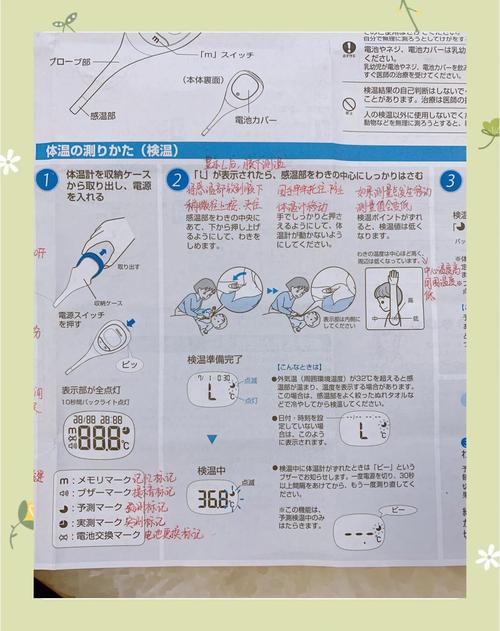 根管测定工作长度的方法-图3