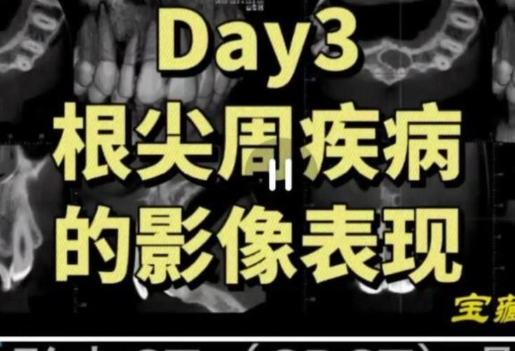 拜博口腔和拜博龙尔-图3 拜博口腔和拜博龙尔-图3