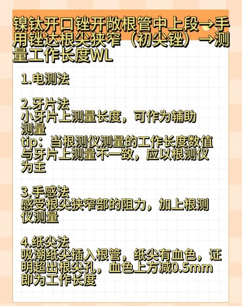 根管长度测量常用方法有哪些?各有何优缺点及适用情况?-图1 根管长度测量常用方法有哪些?各有何优缺点及适用情况?-图1