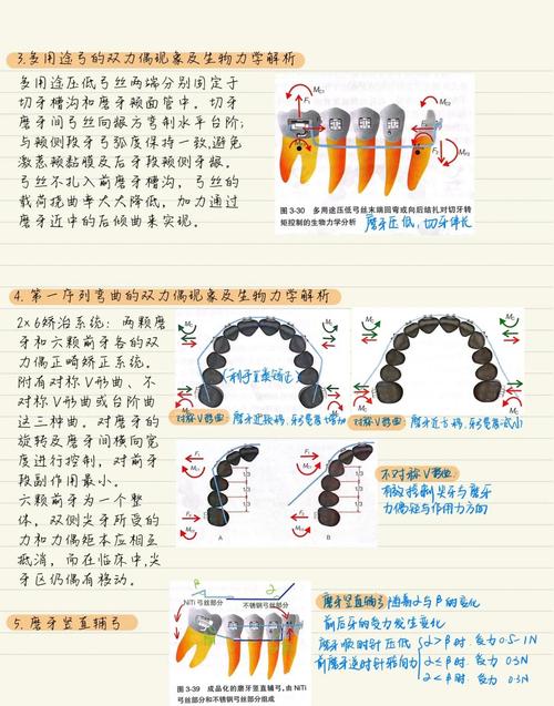 正畸方法压低伸长的牙-图1 正畸方法压低伸长的牙-图1