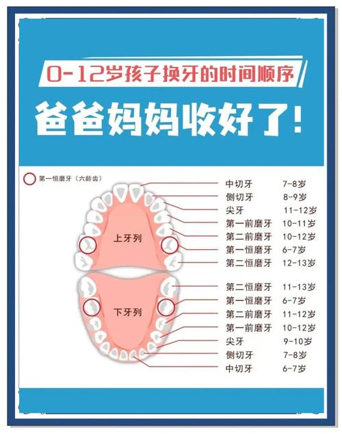 牙掉了什么时候种牙最好?-图1 牙掉了什么时候种牙最好?-图1