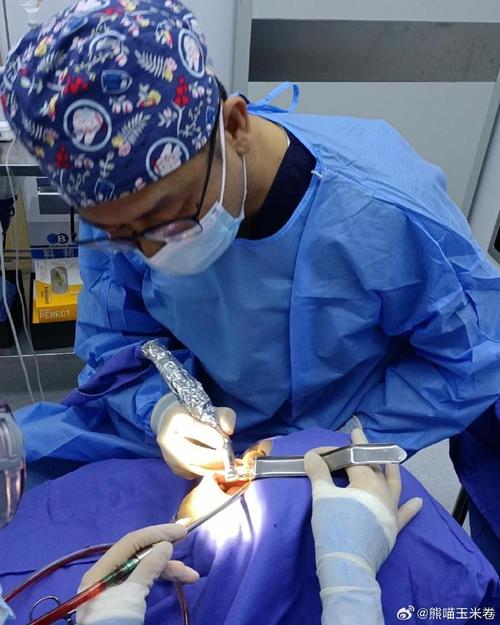 沈阳医大口腔医院种牙-图2 沈阳医大口腔医院种牙-图2