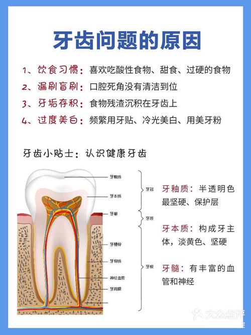 牙齿口臭怎么治疗方法-图2