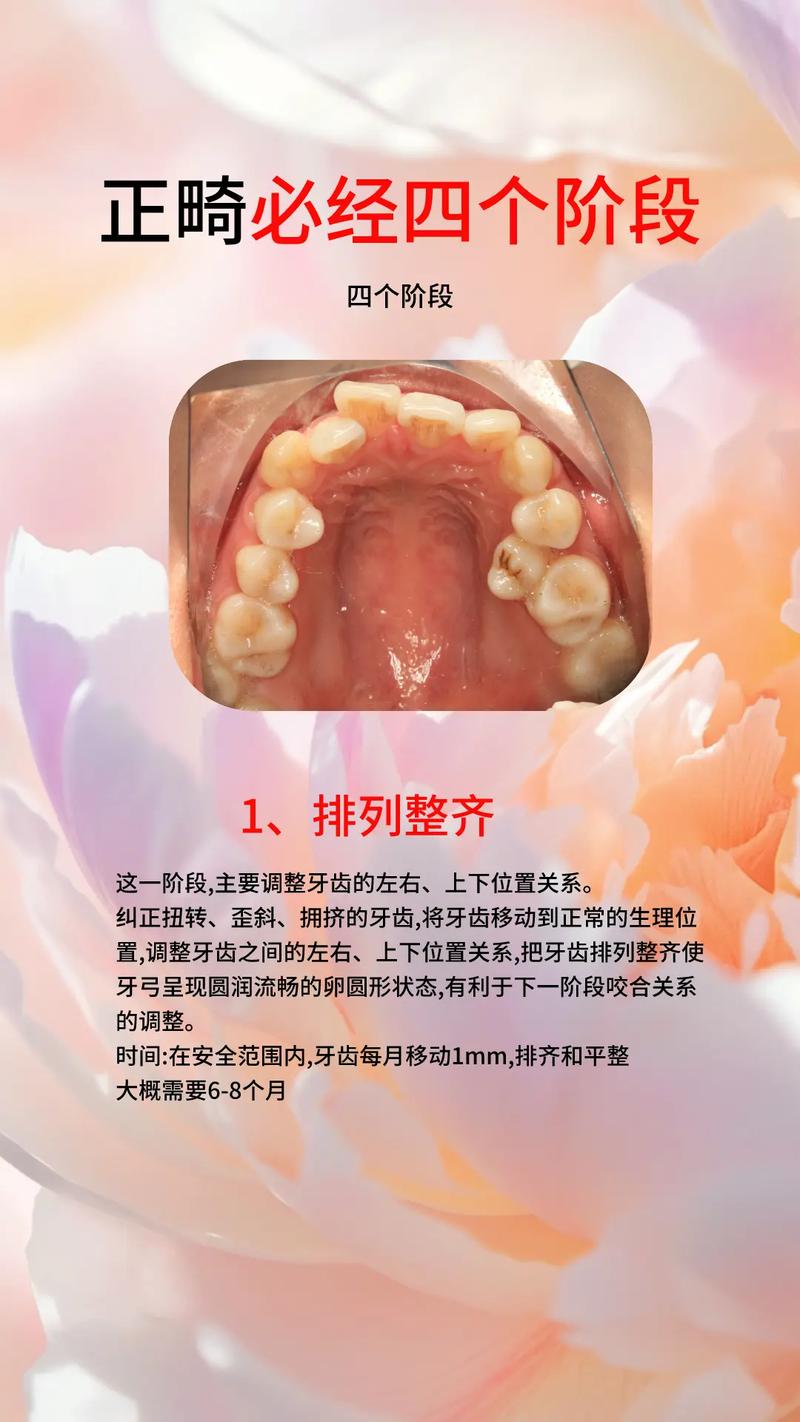 正畸与颅面生长发育图-图2