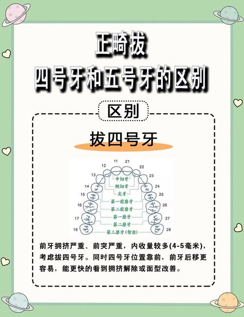 牙列的三种基本类型分别是什么？-图2