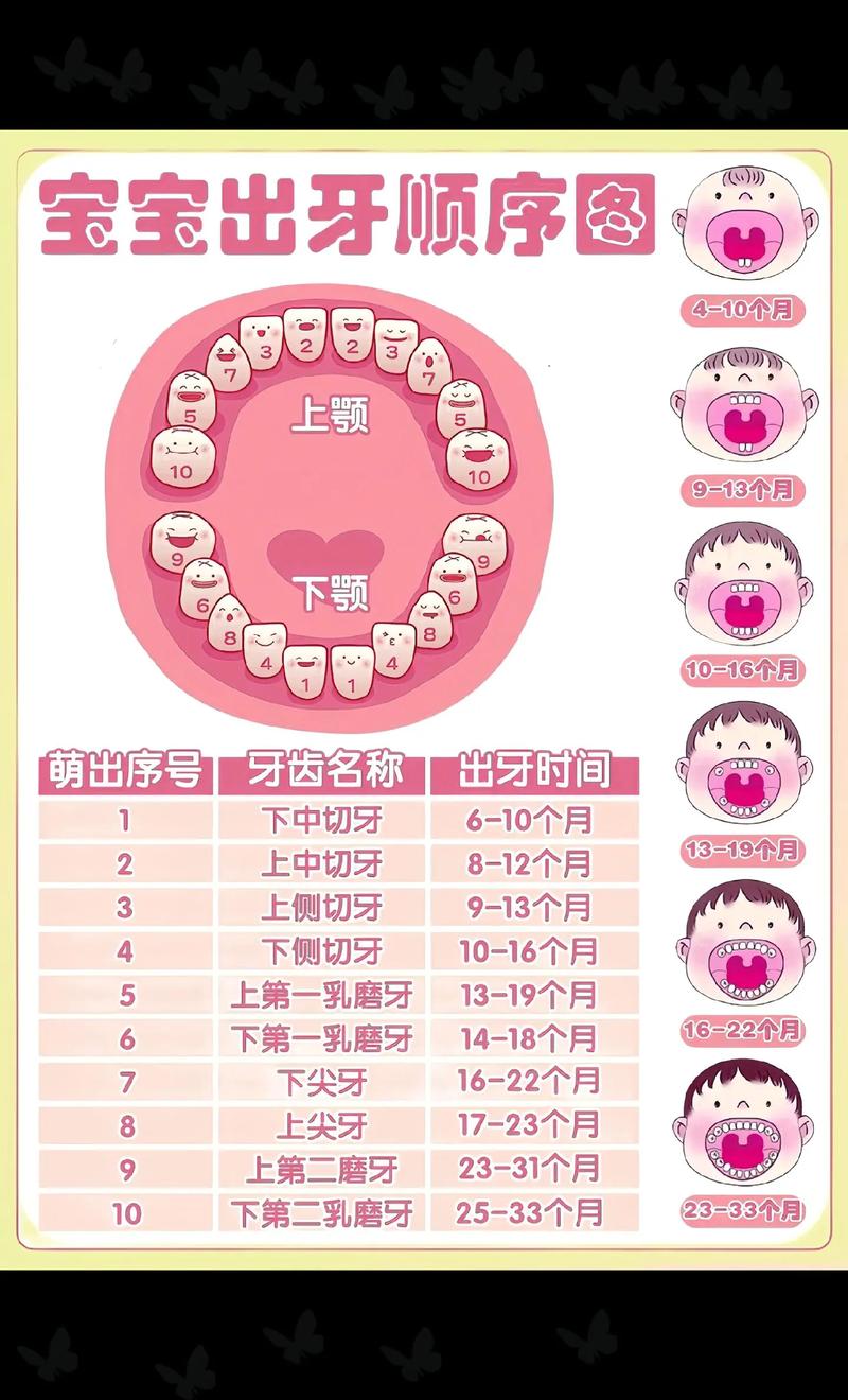 一颗牙多久能种出来-图2
