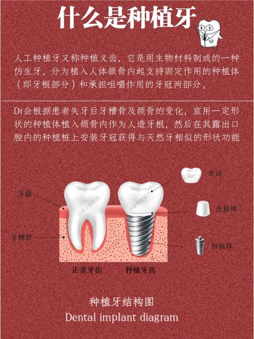 种牙有几部分组成的-图2 种牙有几部分组成的-图2