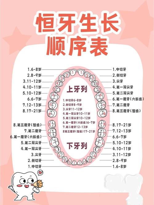 一个最多能种几棵牙-图1