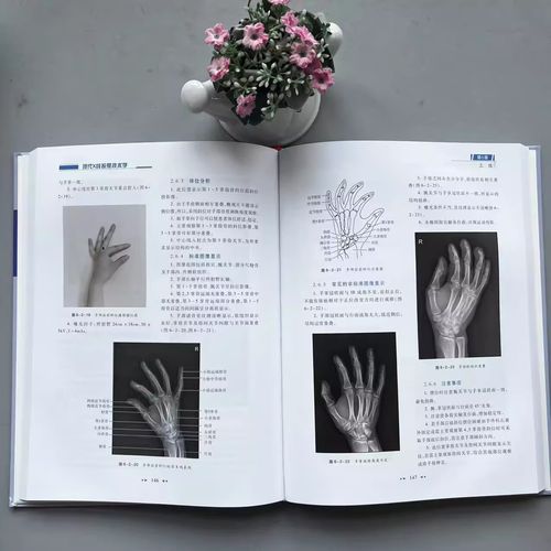 下颌骨X线投照方法的选择与操作要点有哪些?-图2 下颌骨X线投照方法的选择与操作要点有哪些?-图2