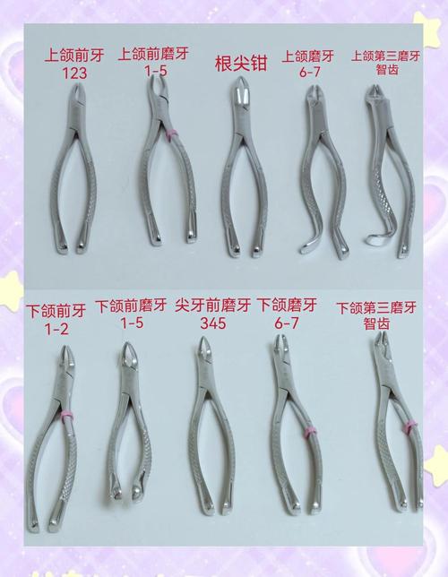 牙钳使用方法视频怎么学?正确操作步骤看这里?-图2 牙钳使用方法视频怎么学?正确操作步骤看这里?-图2