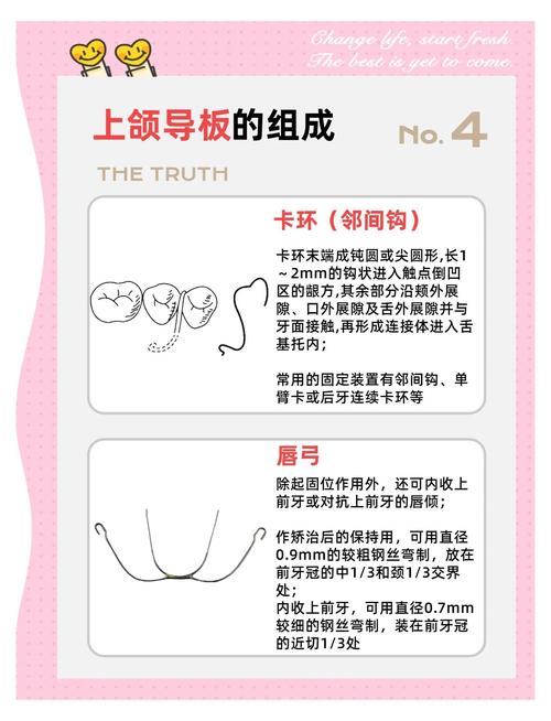 正畸平面导板的矫正原理是什么？-图2