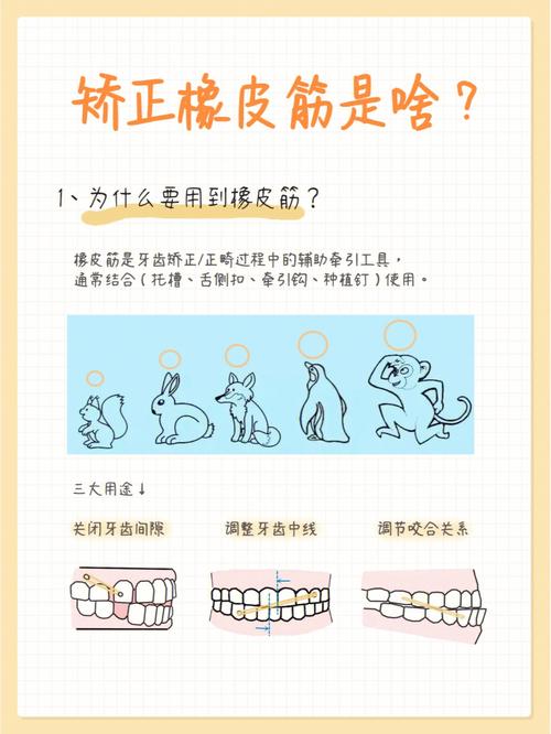 橡皮圈矫正方法图解，如何通过图解掌握详细操作步骤？-图3