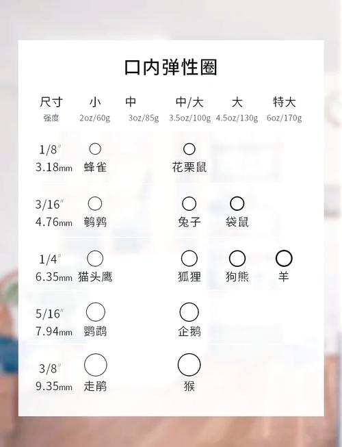 橡皮圈矫正方法图解,如何通过图解掌握详细操作步骤?-图1 橡皮圈矫正方法图解,如何通过图解掌握详细操作步骤?-图1