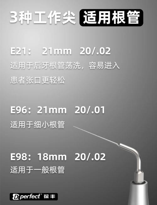 根管超声荡洗的方法-图1 根管超声荡洗的方法-图1