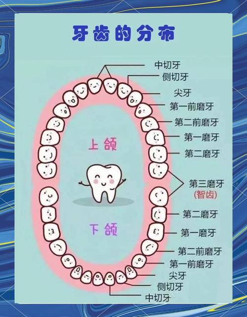 种牙选择什么时间好-图2