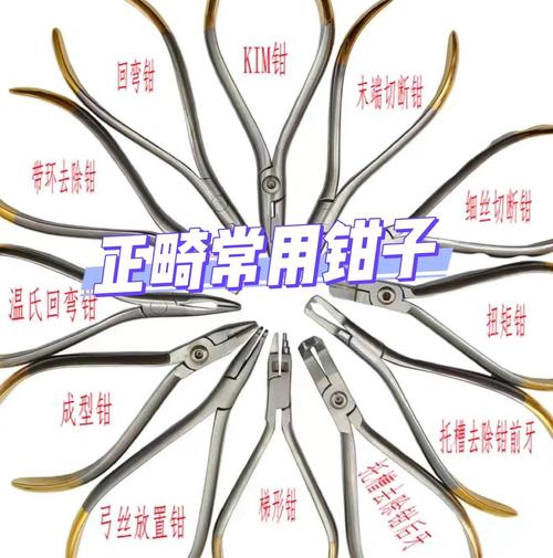 口腔正畸需用哪些专用钳子?-图1 口腔正畸需用哪些专用钳子?-图1