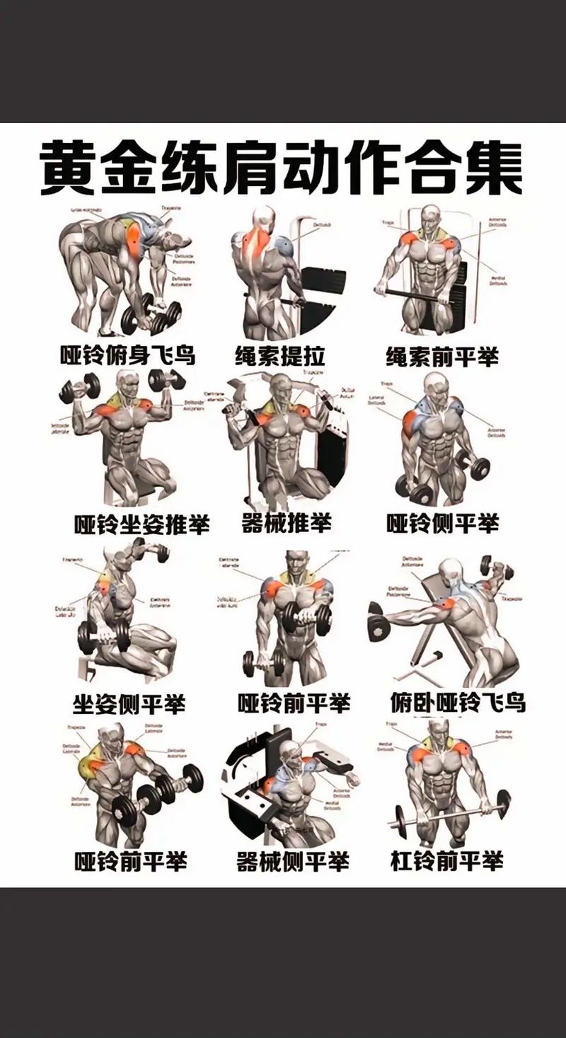 早期肌功能训练方法如何科学有效开展?-图1 早期肌功能训练方法如何科学有效开展?-图1