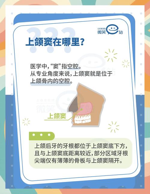 上颌窦底提升术常用方法有哪些？如何根据患者情况选择最佳术式？-图3