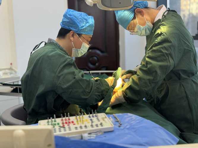 什么是种牙外提升手术?视频详解关键操作步骤-图3 什么是种牙外提升手术?视频详解关键操作步骤-图3