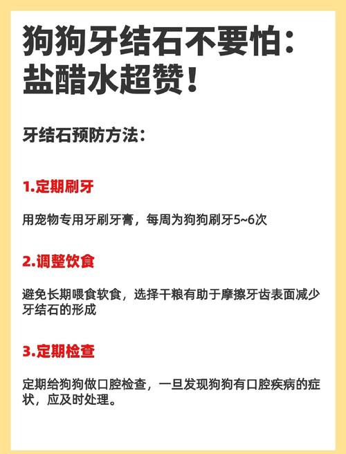 口腔藻酸盐印模材料调配的正确方法是什么？-图3