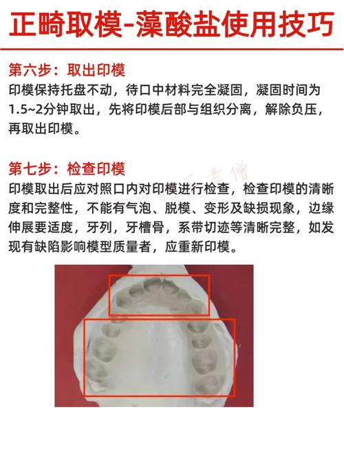 口腔藻酸盐印模材料调配的正确方法是什么？-图1