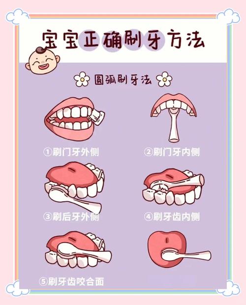 日常正确的基本刷牙方法，具体步骤和操作要点是什么？-图2